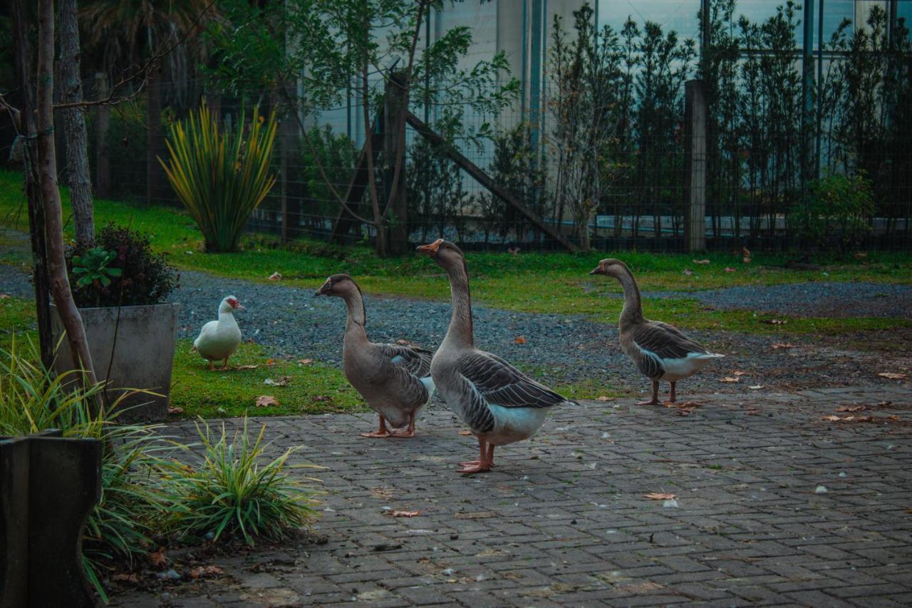 Вілла Gramado Motorpark Екстер'єр фото